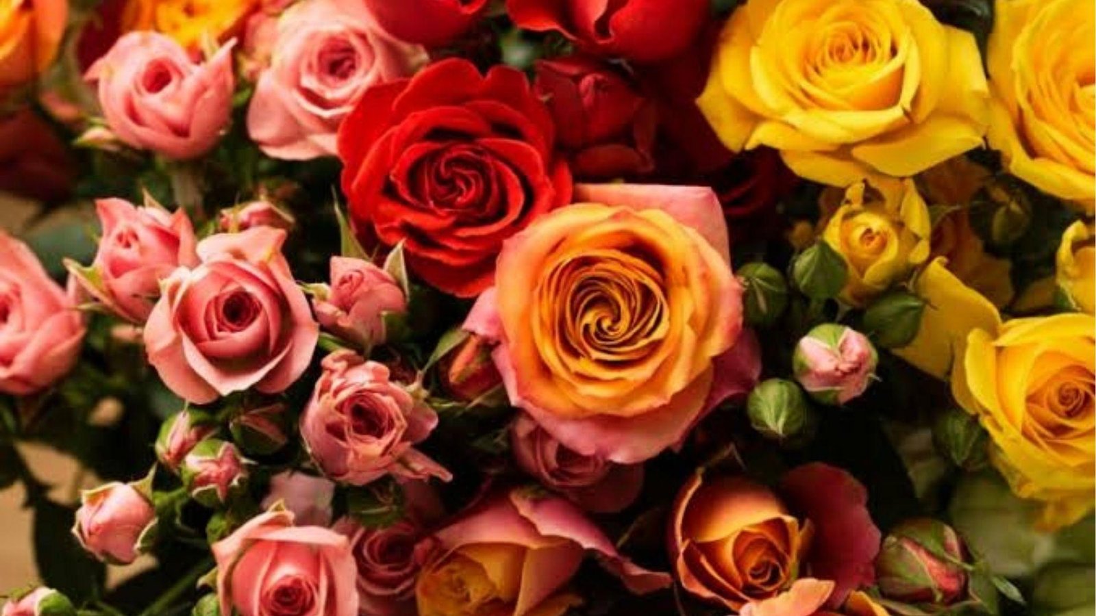 Lush bouquet of multicolor roses in red, pink, orange, and yellow hues honoring June’s birth flower.