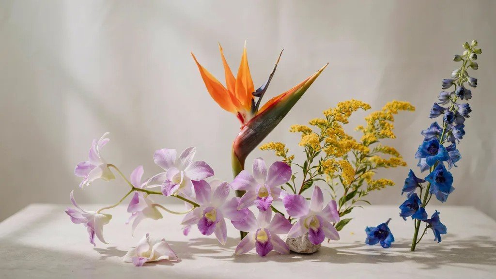 Different Aquarius flowers:orchid, goldenrod, Bird of Paradise, and delphinium:representing personality traits.