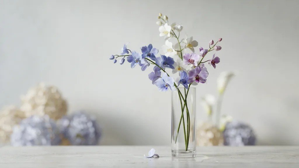 orchids representing Aquarius zodiac flower symbolism with a calm, independent aesthetic.