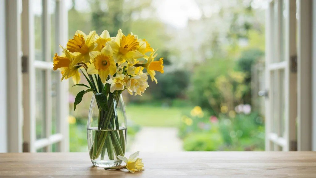 March birth flowers daffodil and jonquil arranged in a bright spring bouquet.