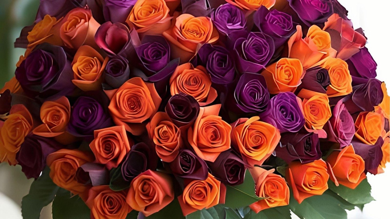 Rich bouquet of orange and purple roses tightly packed, showcasing June’s rose in bold summer colors.