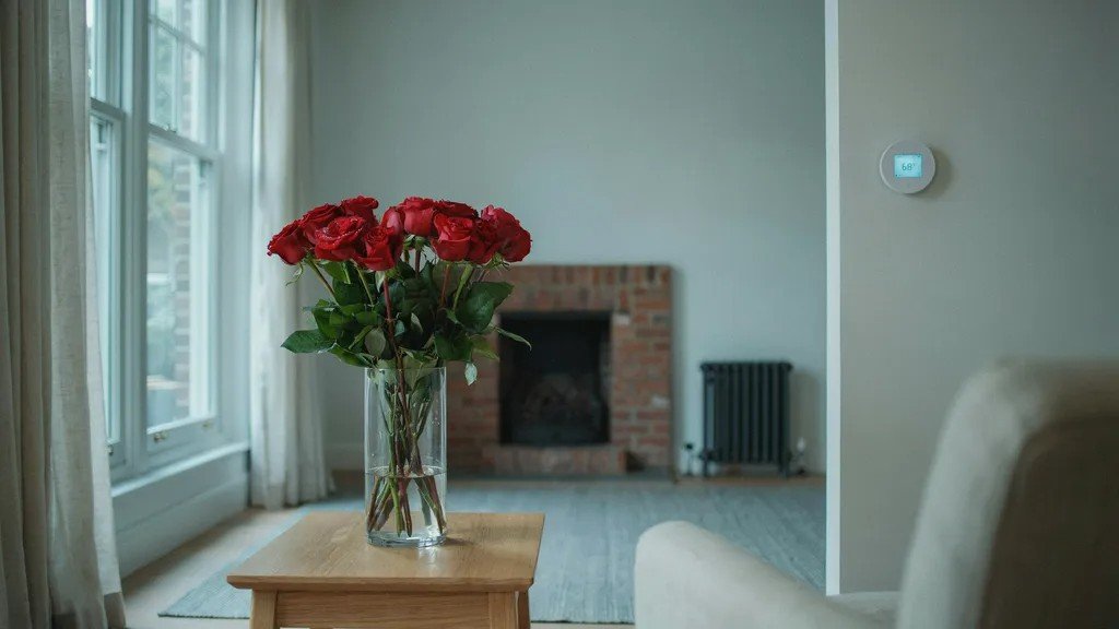 Roses kept in a cool indoor room away from heat sources to stay fresh overnight.