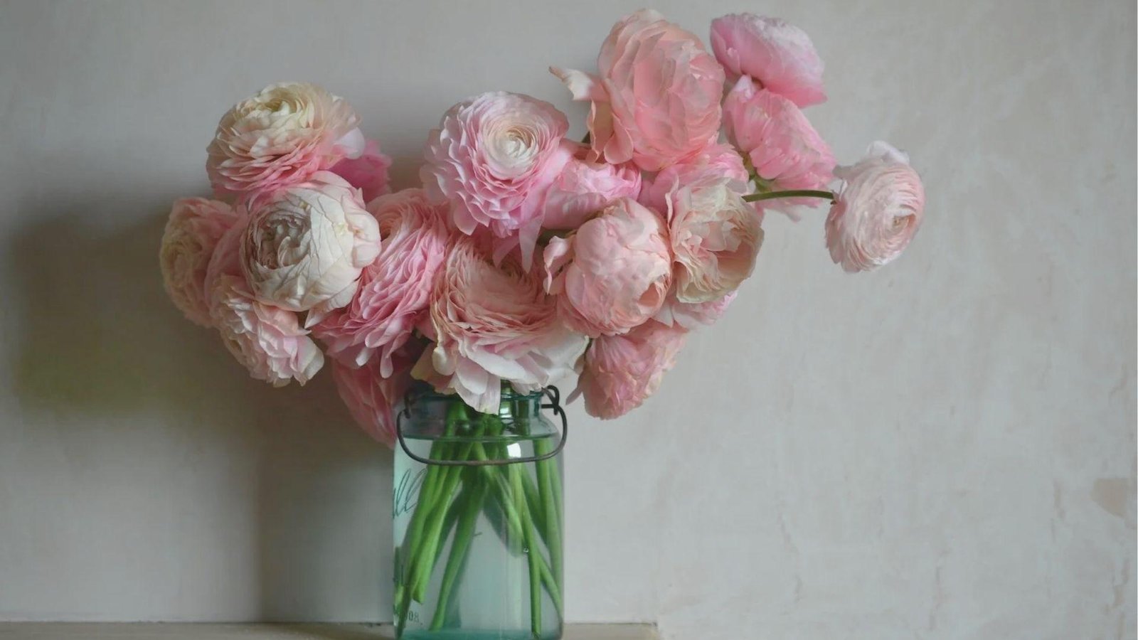 Soft pink ranunculus bouquet arranged in a clear glass jar with water against a light wall.