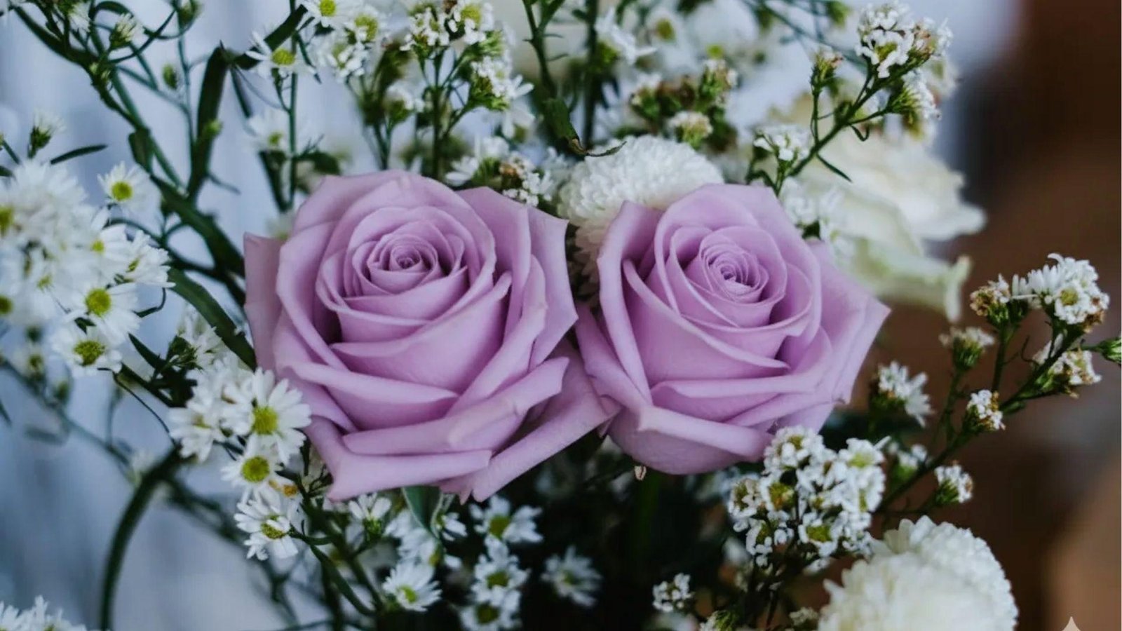 Two lavender roses with white filler flowers, expressing grace, femininity and new beginnings