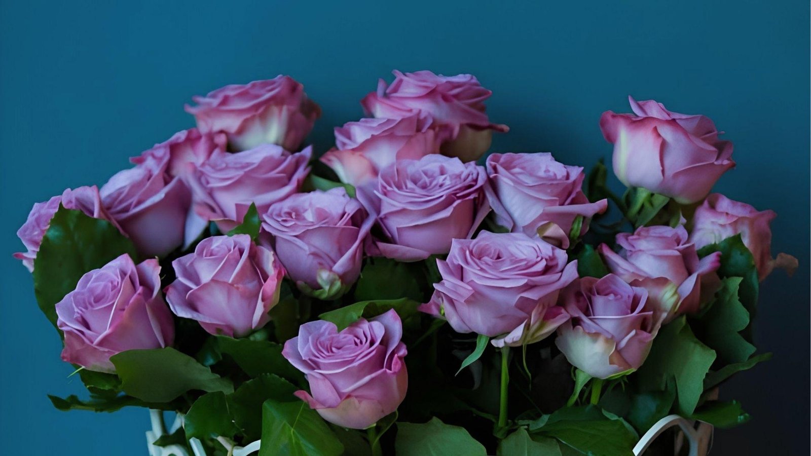 Pinkish-lavender roses in white basket against teal backdrop, meaning joy, admiration and charm
