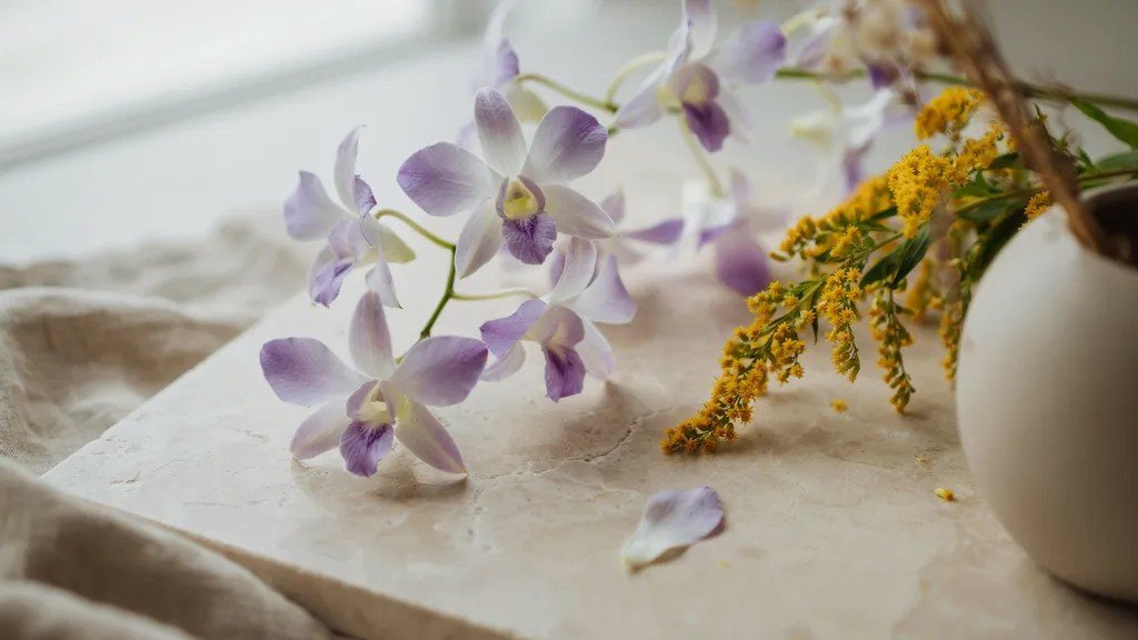 Orchid and goldenrod flowers symbolizing different interpretations of the Aquarius zodiac flower across cultures.