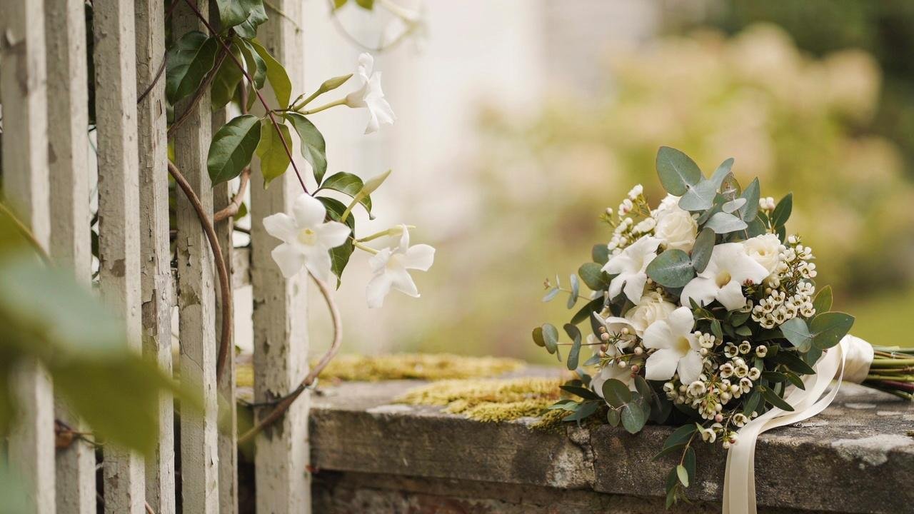 White star-shaped stephanotis flowers growing on a vine and arranged in an elegant bridal bouquet.